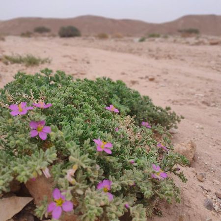 Desert Path Be'er Ora Ngoại thất bức ảnh